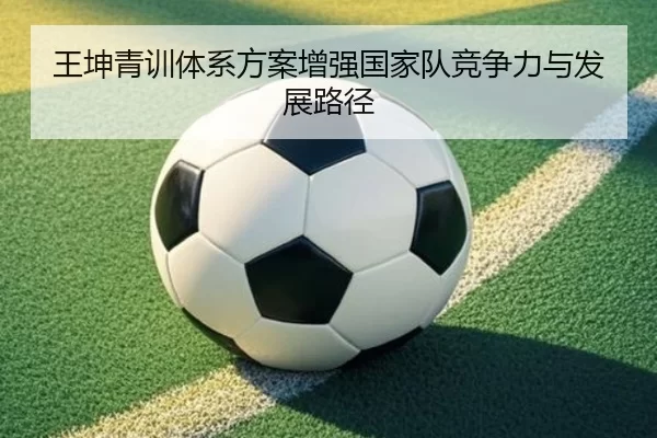 王坤青训体系方案增强国家队竞争力与发展路径